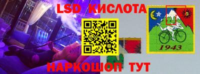 наркотики Сланцы