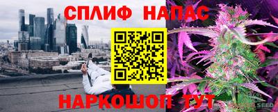 тгк Славянск-на-Кубани