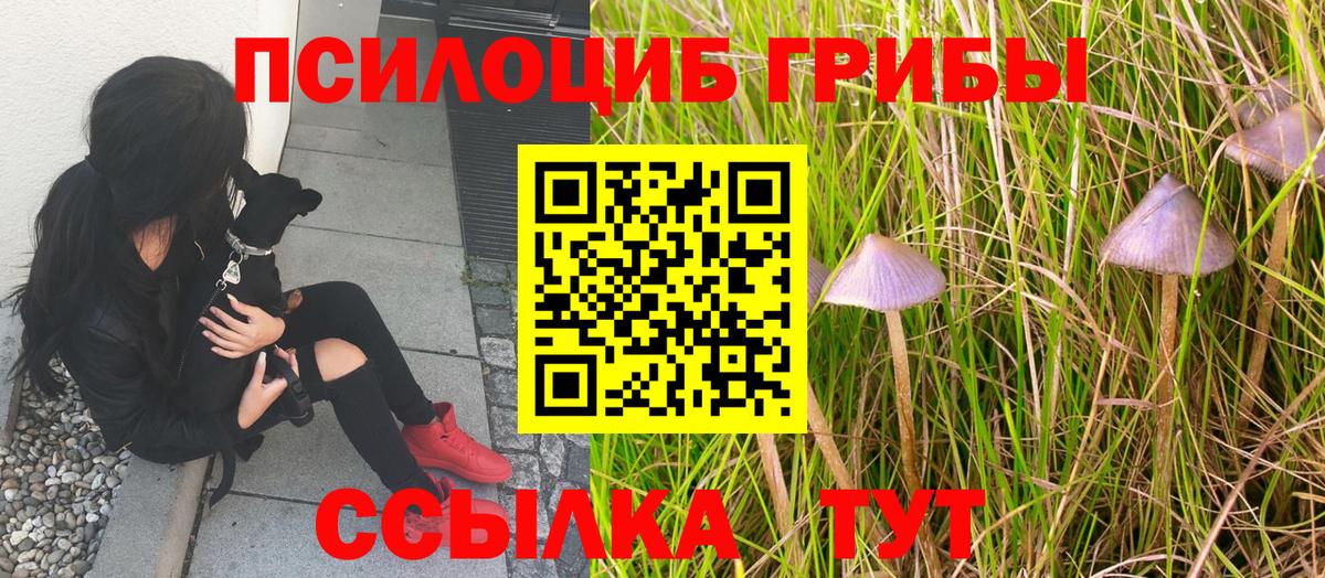 Псилоцибиновые грибы Cubensis  Вход с VPN  Галлюциногенные грибы Psilocybe  Новодвинск 